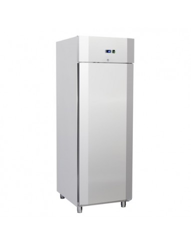 Congelador vertical 1 puerta 600 litros Cool Head QN7