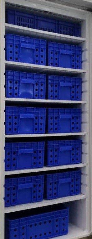 Congelador vertical inoxidable con 12 cestos 600 litros DF600SS - C - FrigeriaHosteleria.com
