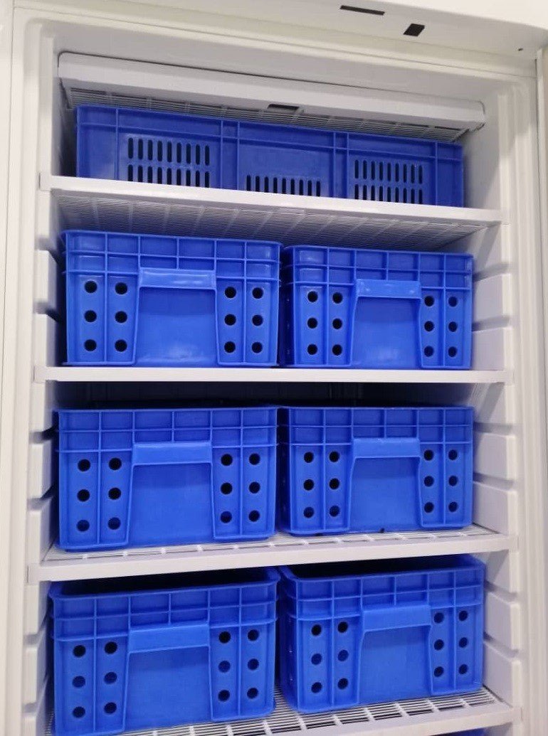 Congelador vertical inoxidable con 12 cestos 600 litros DF600SS - C - FrigeriaHosteleria.com