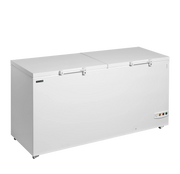TEFCOLD Arcón congelador 600 litros ancho 180 cm FR606SL